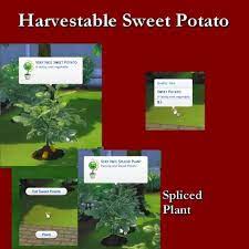 Simsworkshop Harvestable Sweet Potato By Leniad Sims 4 Downloads Sims Sims 4 Sims 4 Studio