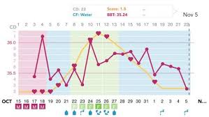 Bbt Dip At 10dpo Netmums