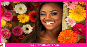 How Should Florists Care For Gabera Daisy?