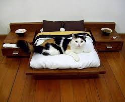 Cama De Casal Com Casinha De Cachorro 17 Ideias De Casinhas E Caminhas Para Caes E Gatos Super Criativas Camas Para Animais Moveis Para Gatos Cao E Gato