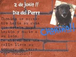 La fecha recuerda la muerte de chonino, un perro ovejero alemán que era de la policía federal argentina. 2 De Junio Dia Nacional Del Perro La Historia De Chonino Excelente Yo Espiritual Dia Del Perro Perros Dia Nacional