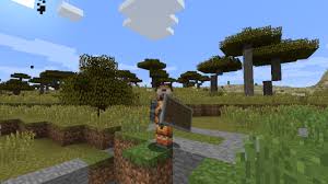 To install most minecraft mods, you'll need a modloader like forge. Shieldhider Mod For Minecraft For 1 12 1 11 2 Minecraftsix