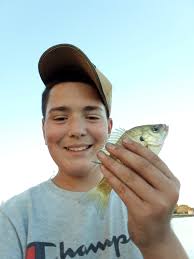 Caught six today at lake Buena Vista lake Evans