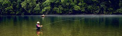 Camping Bull Shoals White River State Parks Great Vacation Spots Nature Camping