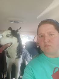 Lost male husky in e richfield area?