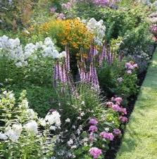 (30 cm), white lace flower is an ideal addition to beds and borders, city gardens, cottage gardens and cutting gardens, as it makes excellent fresh cut flowers with a vase life up to 10 days. How To Make Garden Beds And Borders Landscape Depot