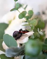 Thank you to @chasinglightmagazine for publishing my work in their magazine  issue 186