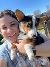 Julie Justus's Instagram, Twitter & Facebook