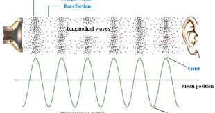 Longitudinal Vs Transverse Waves Longitudinal Sound Waves Move Parallel To Direction Of Propagation Transverse Sound Physics Sound Waves Longitudinal Wave