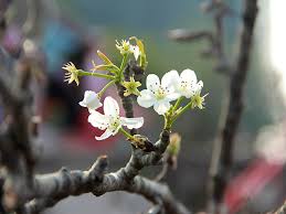 Rằm tháng giêng là một lễ cúng quan trọng trong năm. Gyiufx2rpbas5m