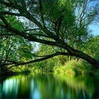 We're pretty sure you will find your perfect wallpapger from our nature category here. Get Free Nature Wallpapers Microsoft Store