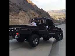 صور شاص اسود