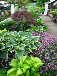 Reader Photos Tim S Garden In Ohio Revisited Shade Garden Front Yard Landscaping Cheap Landscaping Ideas