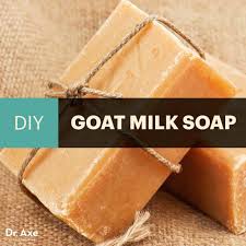 homemade goat milk soap for acne free