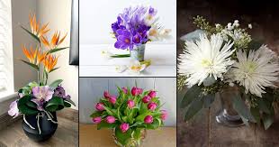While we now have more ways to communicate, the messages told with flowers are as meaningful today as ever. Best Happy Birthday Flowers According To Months Balcony Garden Web
