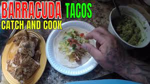 Maybe you would like to learn more about one of these? Blackened Barracuda Tacos Catch Clean And Cook Youtube