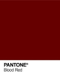 camiseta vinho ou bordo com logo cannil grande na cor laranja mostarda pantone red colour palette 2019 color