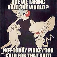 Maybe you would like to learn more about one of these? Pinky And The Brain Are We Taking Over The World Meme Imperial Crown Entertainment