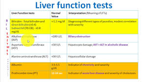 Image result for Liver Function Test