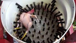 Get a large pan (big enough for the whole chicken) and fill it with water. How To Pluck A Chicken In 14 Seconds Homemade Whizbang Chicken Plucker Youtube