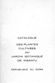 Image result for Gomphocarpus semiamplectens