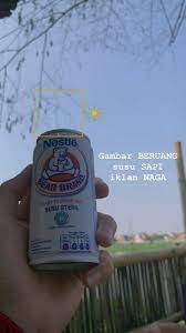 Sering kali, hati sang pujaan susah ditaklukkan dan. Pin Oleh Didi Junaedi Di Coffee Ungkapan Lucu Kata Kata Humor Lucu