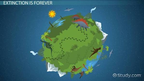 Consequences of Extinction & Species Loss Video