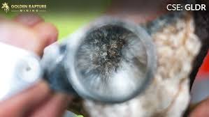 CSE: GLDR) CEO, Richard Rivet introduces Golden Rapture Mining