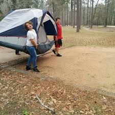 Beautiful pine forest with abundant wildlife. Photos At Cagle Recreation Area Campground In New Waverly
