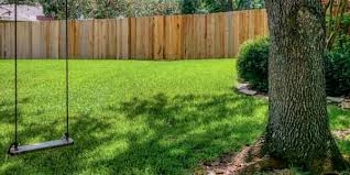 Maybe you would like to learn more about one of these? Buy Affordable Washington Hawthorn Trees At Our Online Nursery Arbor Day Foundation Buy Trees Rain Forest Friendly Coffee Greeting Cards That Plant Trees Memorials And Celebrations With Trees And More