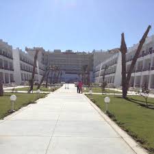+ white + warren cashmere travel wrap. Max The Camel Picture Of Colour Beach Hurghada Tripadvisor