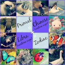 Primal Astrology Signs Zodiac Amino