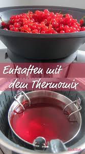 Entsaften Mit Dem Thermomix Einfaches Rezept Kochtrotz Kreative Rezepte Rezept Rezepte Lebensmittel Essen Kochtrotz