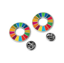 Official SDGs Lapel Pins (two- pack) | UNDP Shop