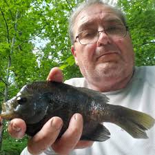 My wife Sue caught this nice Bluegill in the Canoochee River in Evans  County Georgia.