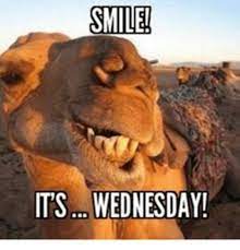 112 Funny Wednesday Memes To Get You Through Hump Day Tiny Positive