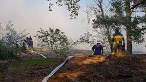Den som uppsåtligen eller av oaktsamhet bryter mot eldningsförbudet kan dömas till. Eldningsforbud Beslutat Fran Den 16 Juni Brandkaren Attunda