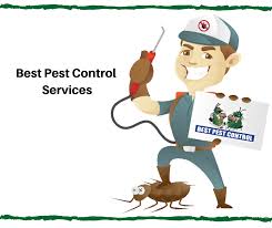 Be sure to inquire about the specific services offered by your particular pest control provider. Best Pest Control Services