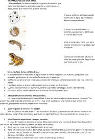 • enumera los seres vivos que aprecias en la imagen y di cuáles de. Especialidad De Anfibios Pdf Free Download