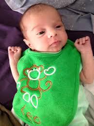 It was Mrs. Kane's idea . . .