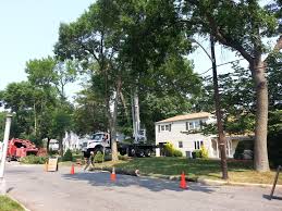 Maybe you would like to learn more about one of these? Tree Service And Shrub Experts Northvale Nj Kens Tree Care Mulch On Sale Where To Buy Mulch Near Me Tree And Shrub Experts