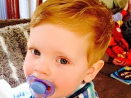 Fundraiser by Nicola Eaton Hyslop : Joseph's Therapy Dog