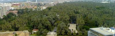 Последние твиты от elche palmeral avent (@elcheaventuras). Palmeral Elche