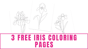 That's likely what colored the opinions of the people in the study. 2pkhwqwycc6lhm