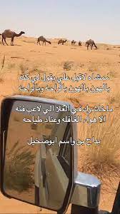 بداح بن واسم ابوصخيل Sur Twitter بداح واسم ابوصخيل البدو البر الابل الشعر