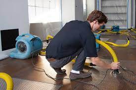 Professional water extraction