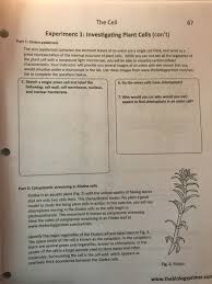 Check spelling or type a new query. The Cell 67 Experiment 1 Investigating Plant Cells Chegg Com