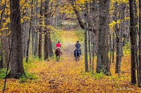 Fall Color Tours Michigan