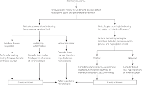 Iron Deficiency And Other Types Of Anemia In Infants And Children American Family Physician
