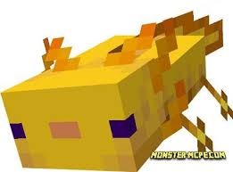 Users can enjoy the features of the caves & cliffs update, meet new mobs and play with them. Axolotls Replica Concept Add On 1 16 Minecraft Pe Addons